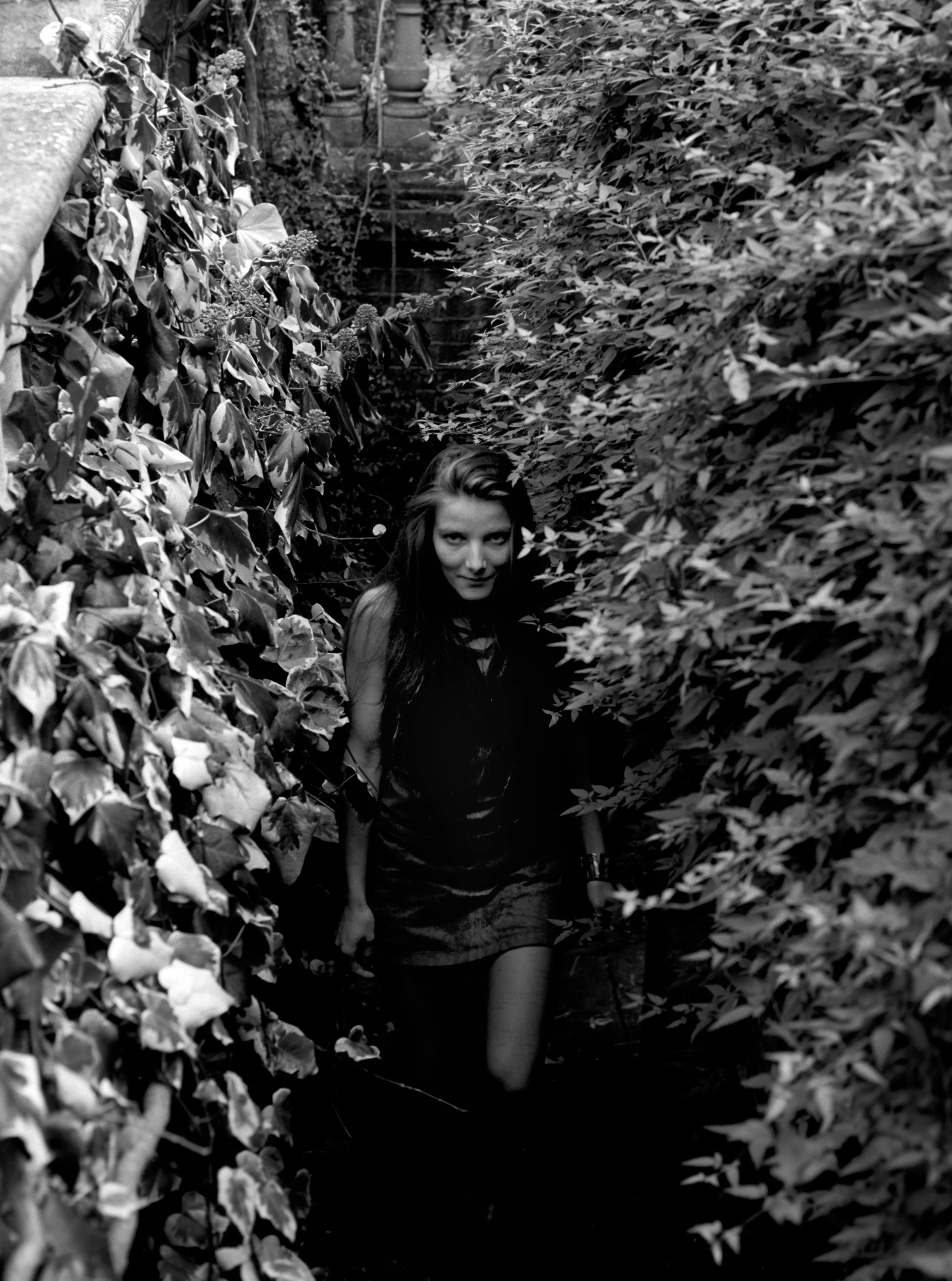 Bella emerging up an ivy-choked stone stairway. Black and white.