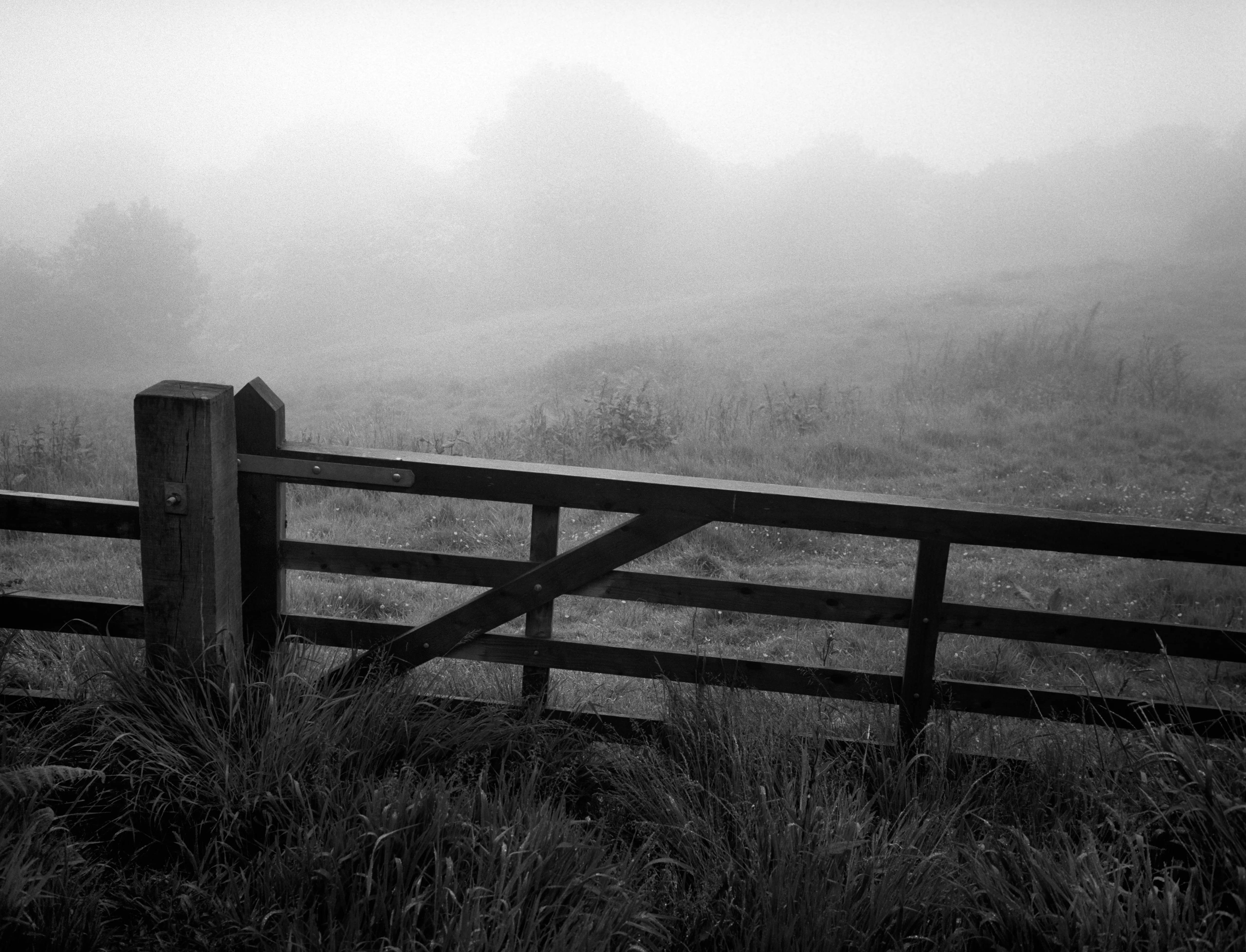 An iron gate seen through fog, the city beyond it gone soft.