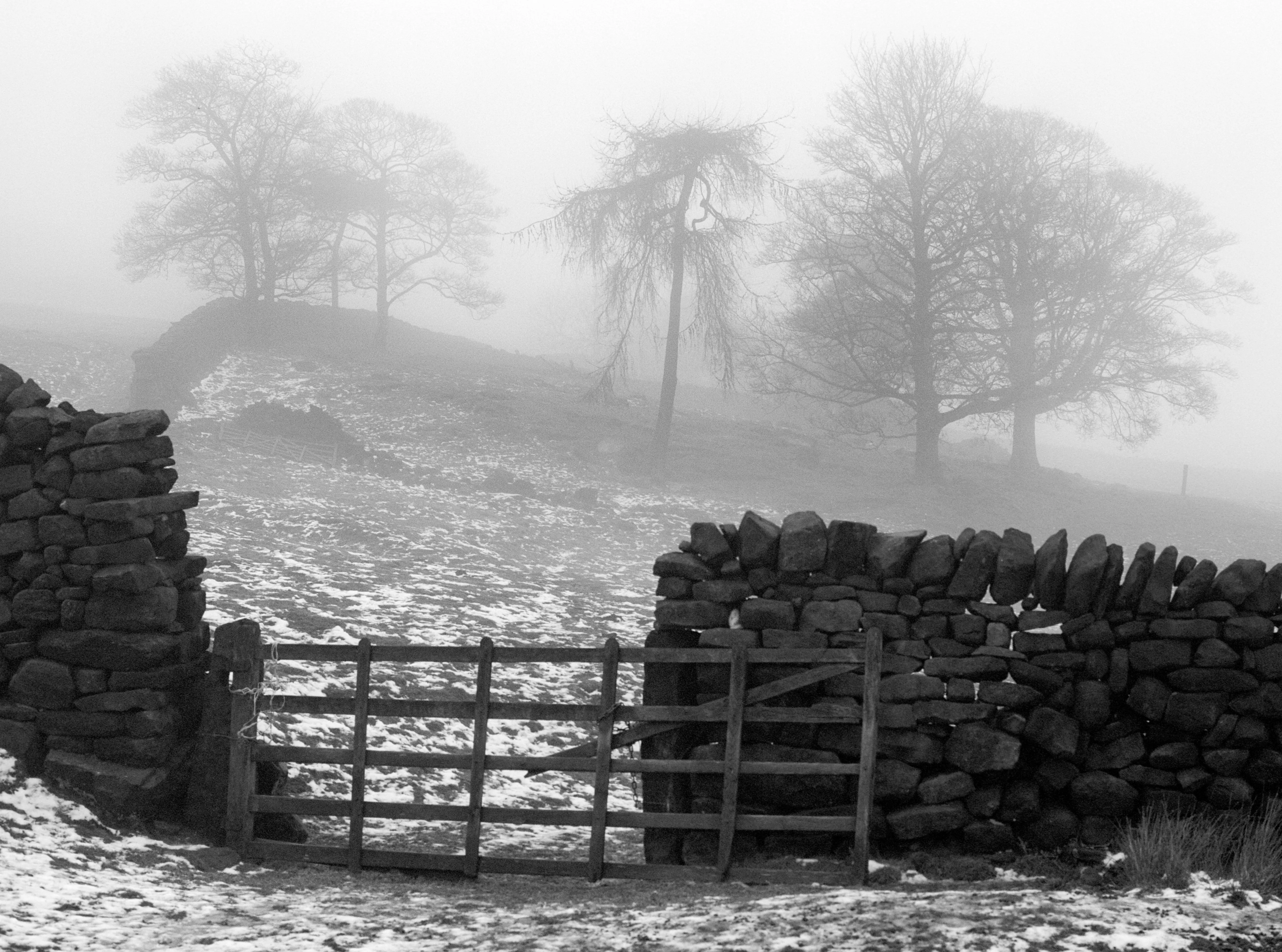 A figure half-dissolved in the fog around it.