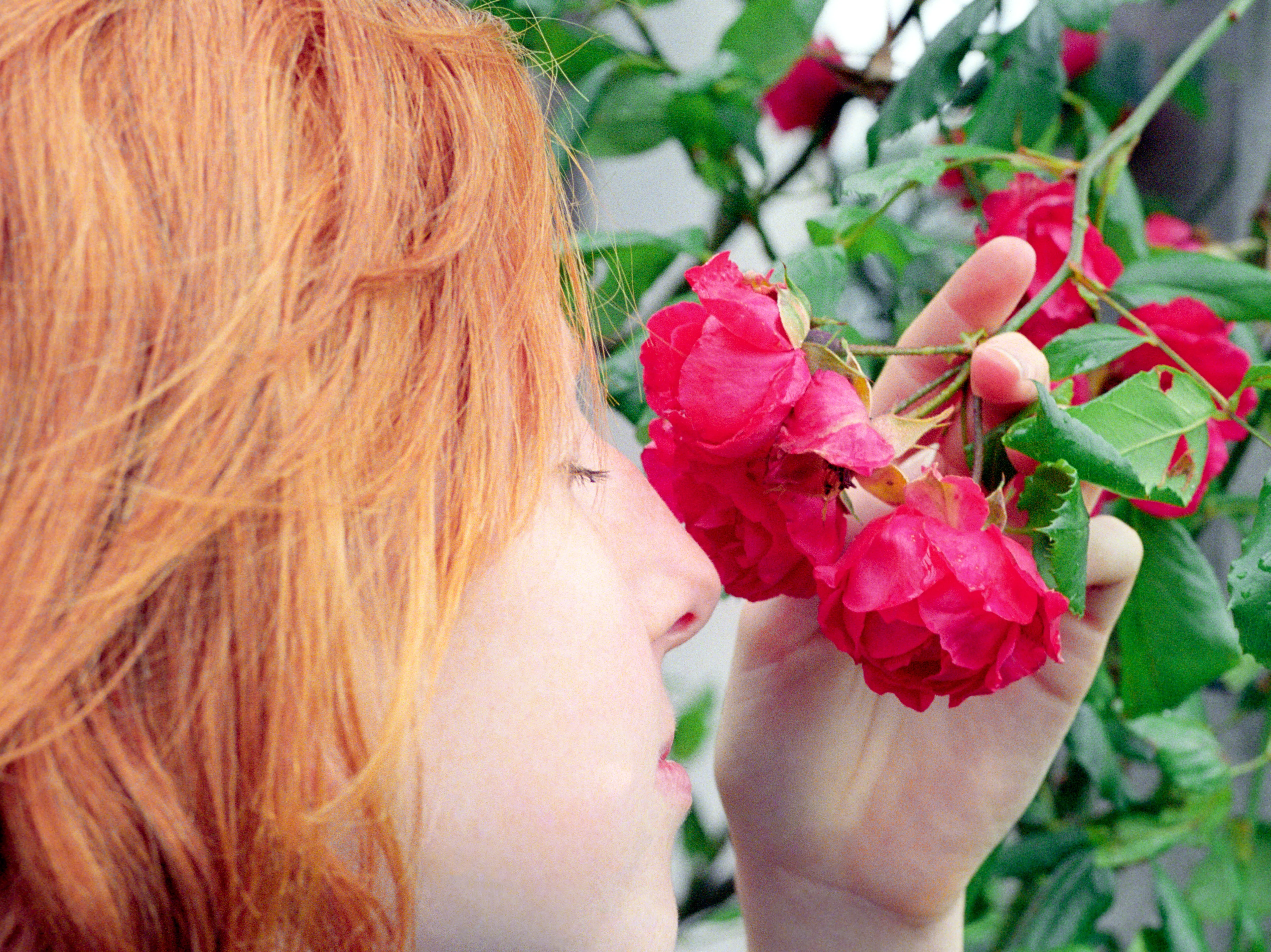 In profile, Clélia holds a cluster of pink roses to her face, red hair against green foliage.