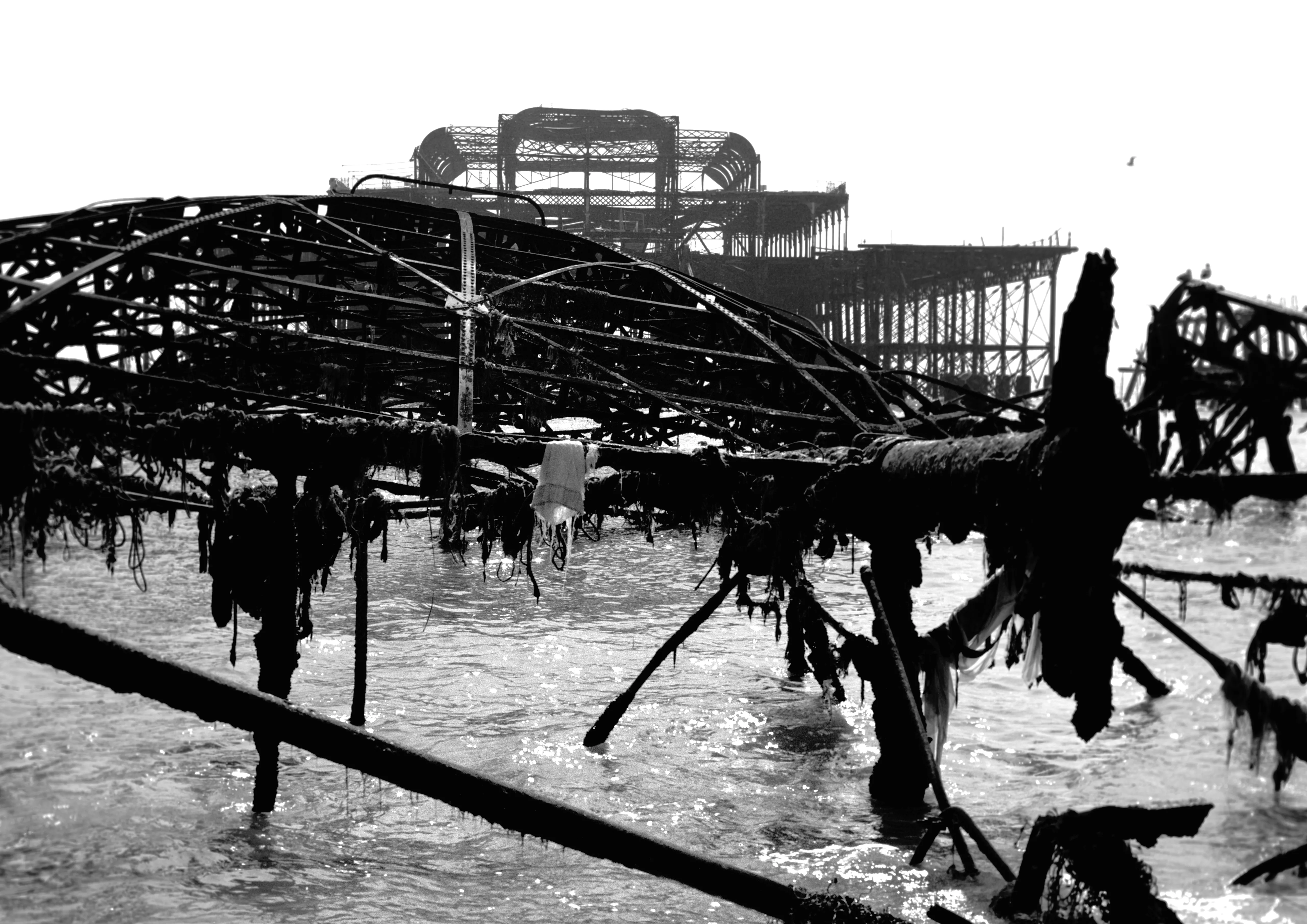 The collapsed iron frame of Brighton's West Pier standing in the sea, draped with weed.