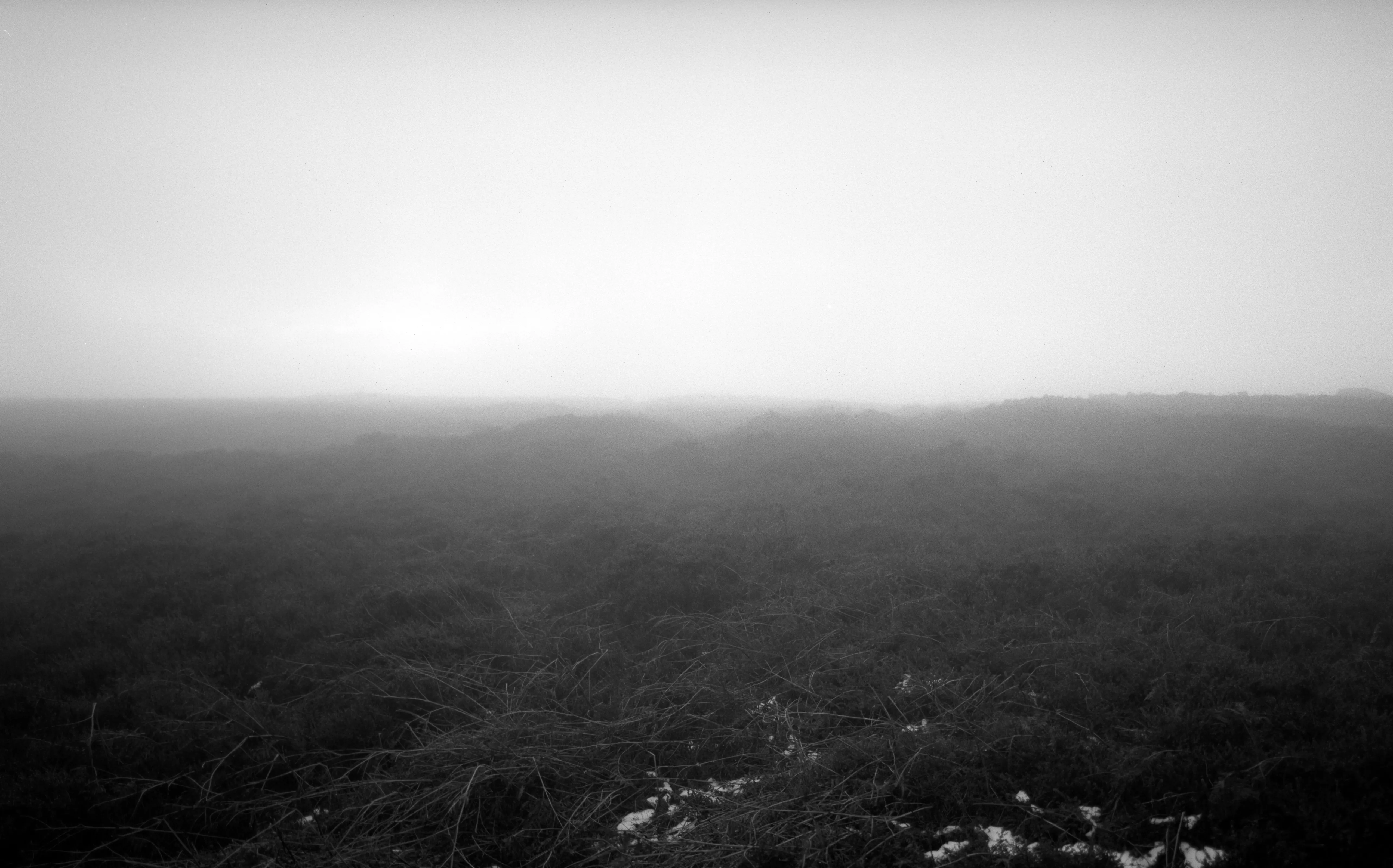 A horizon held in fog, the day going out behind it.