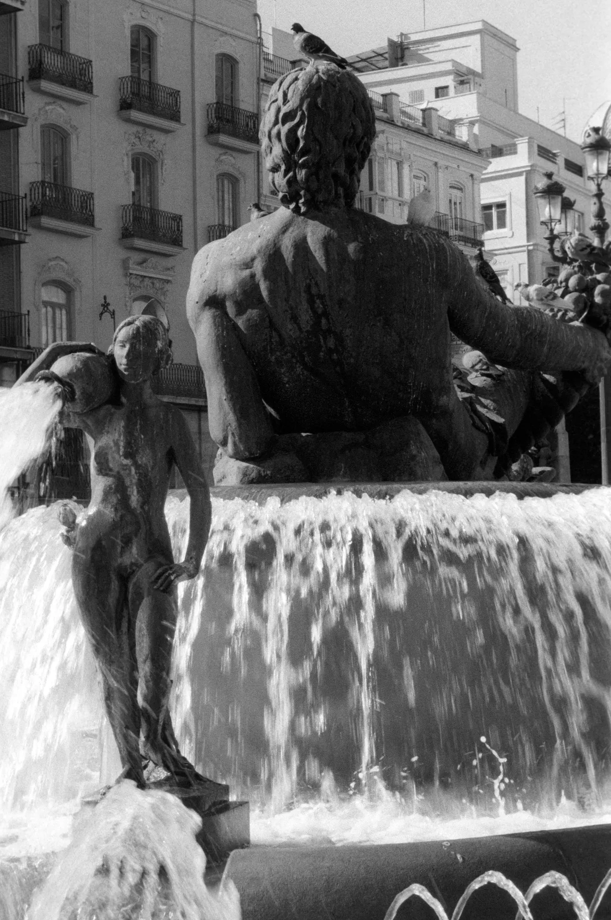 The Turia fountain from behind, water sheeting off the rim, a pigeon settled on the great figure's head.