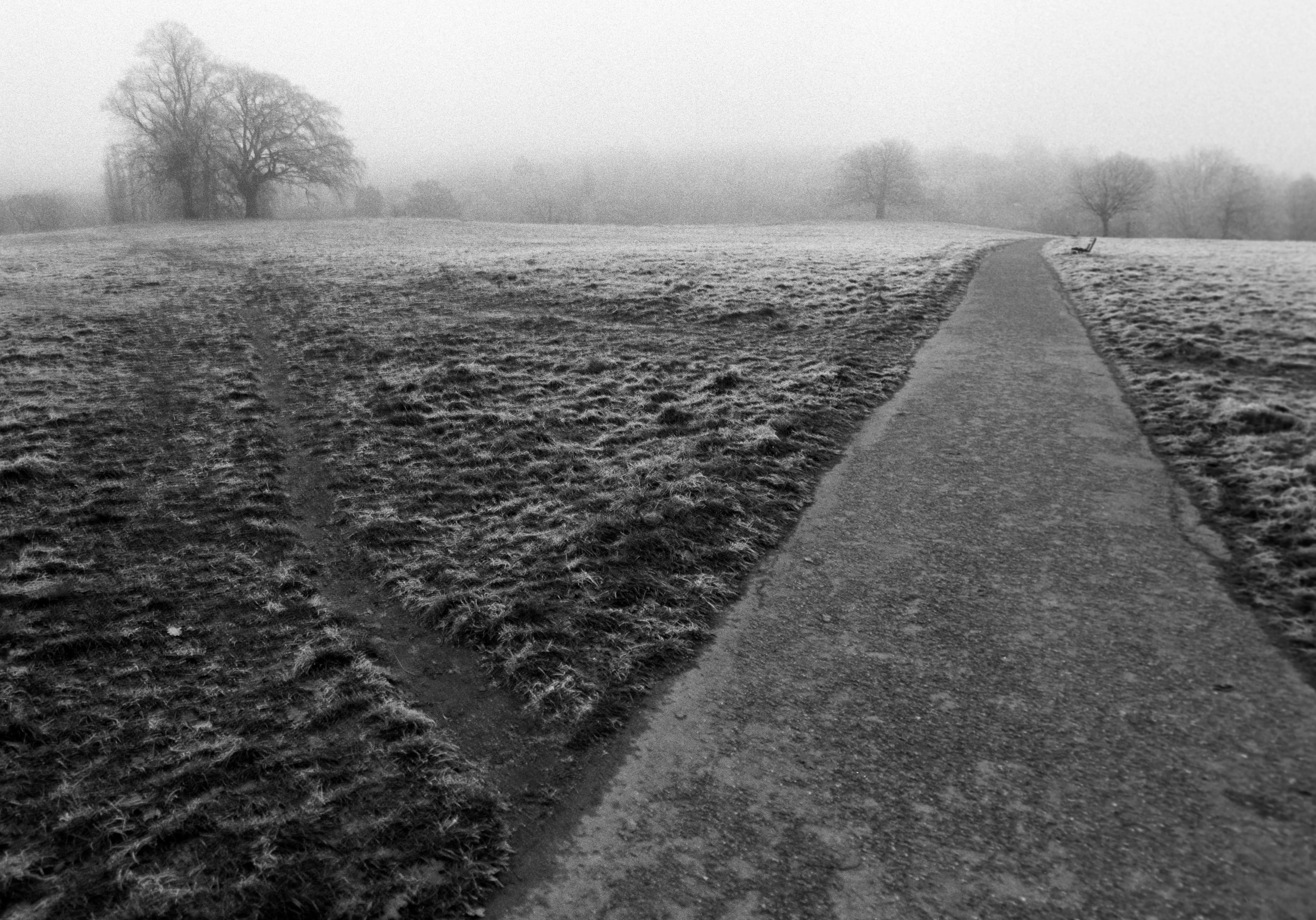Paths diverging on the heath, the ground opening away into mist.