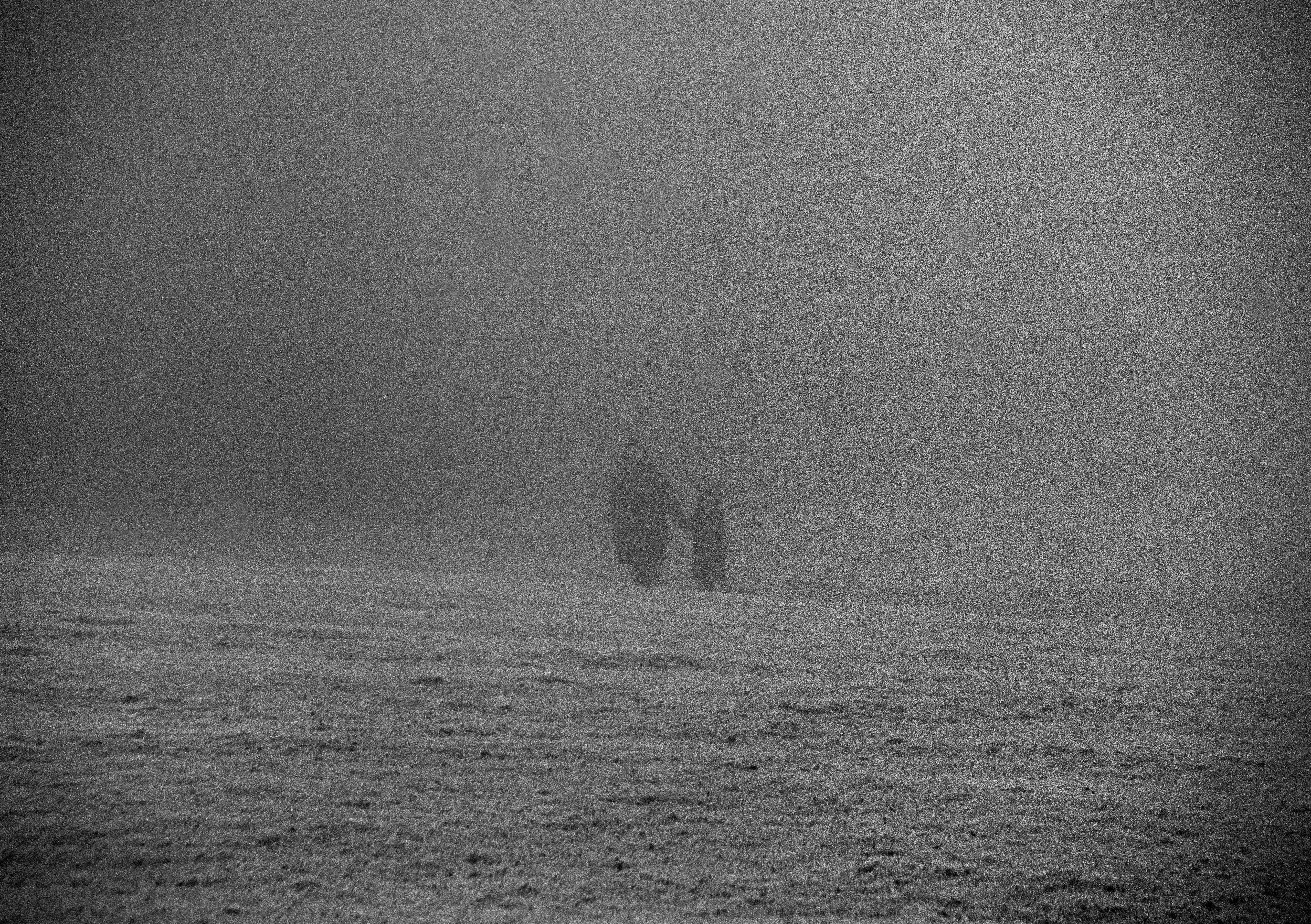 A stranger half-resolving out of the fog, found and not quite met.