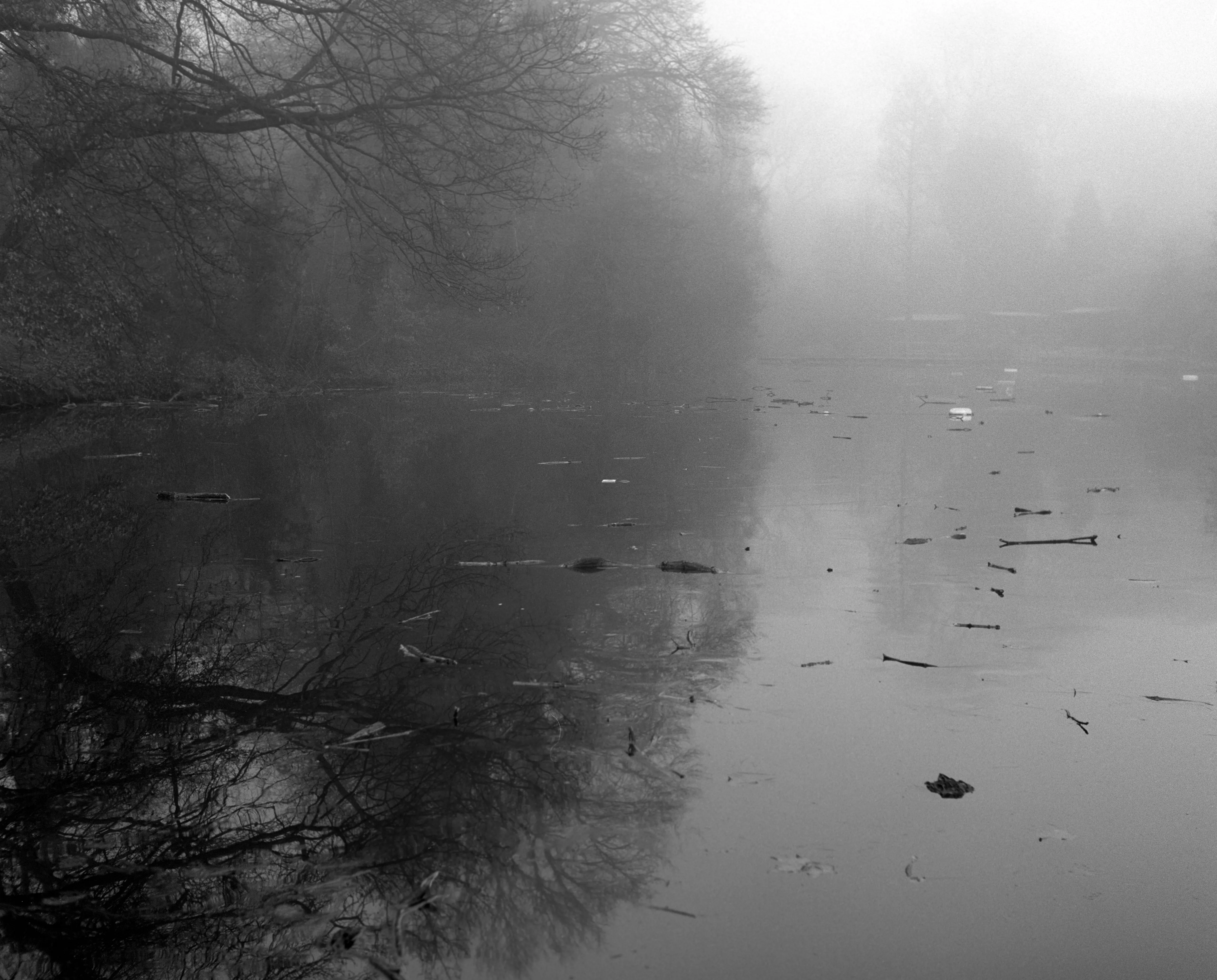 A still, iced pond holding the grey morning like a mirror.