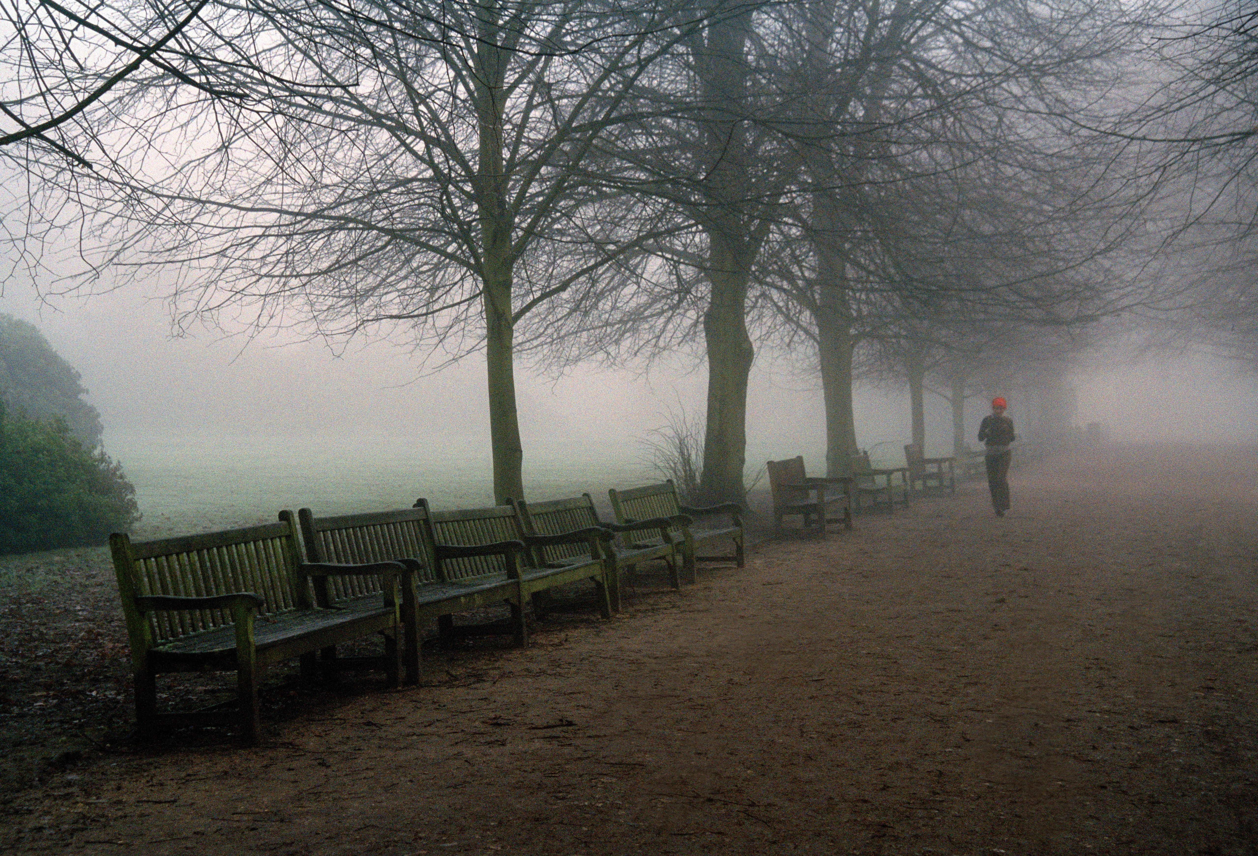 A fog-grey heath scene marked by a single point of red.