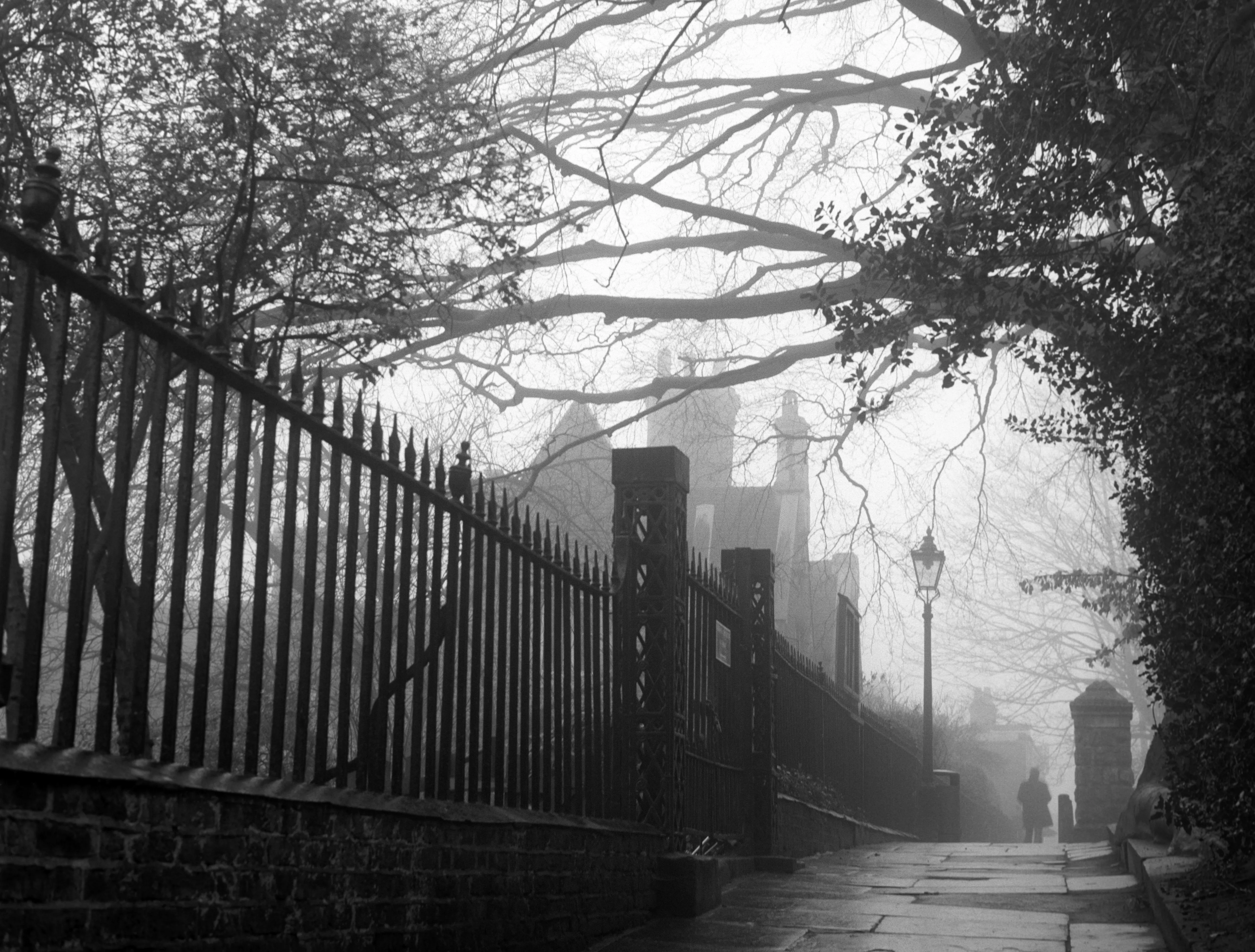A path opening into deep fog on Hampstead Heath, the way ahead going soft.