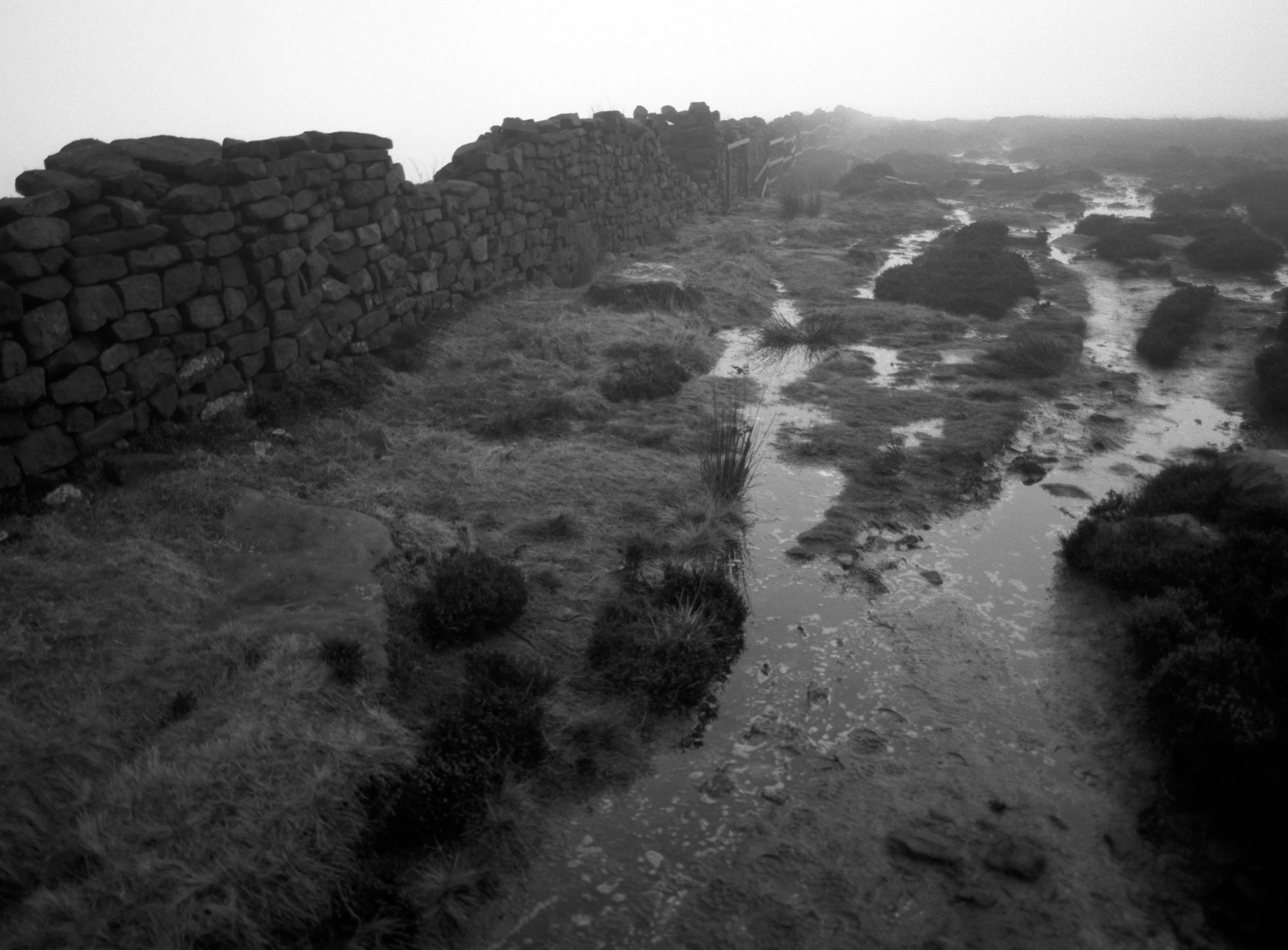 A narrow path through fog, its edges falling away.