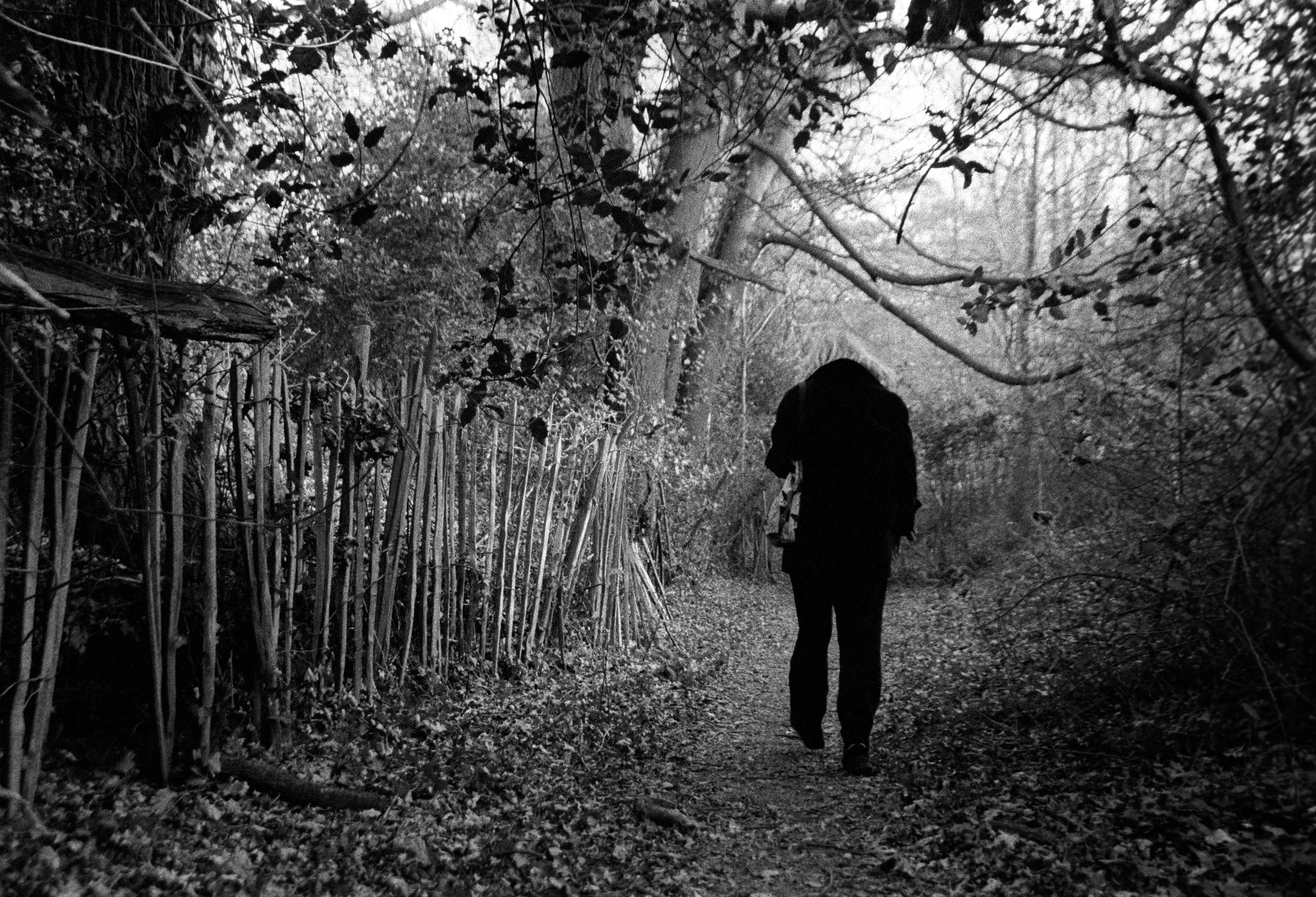 A figure in black walking away down a leaf-strewn woodland path, framed by a leaning bramble fence on the left and overhanging branches above.