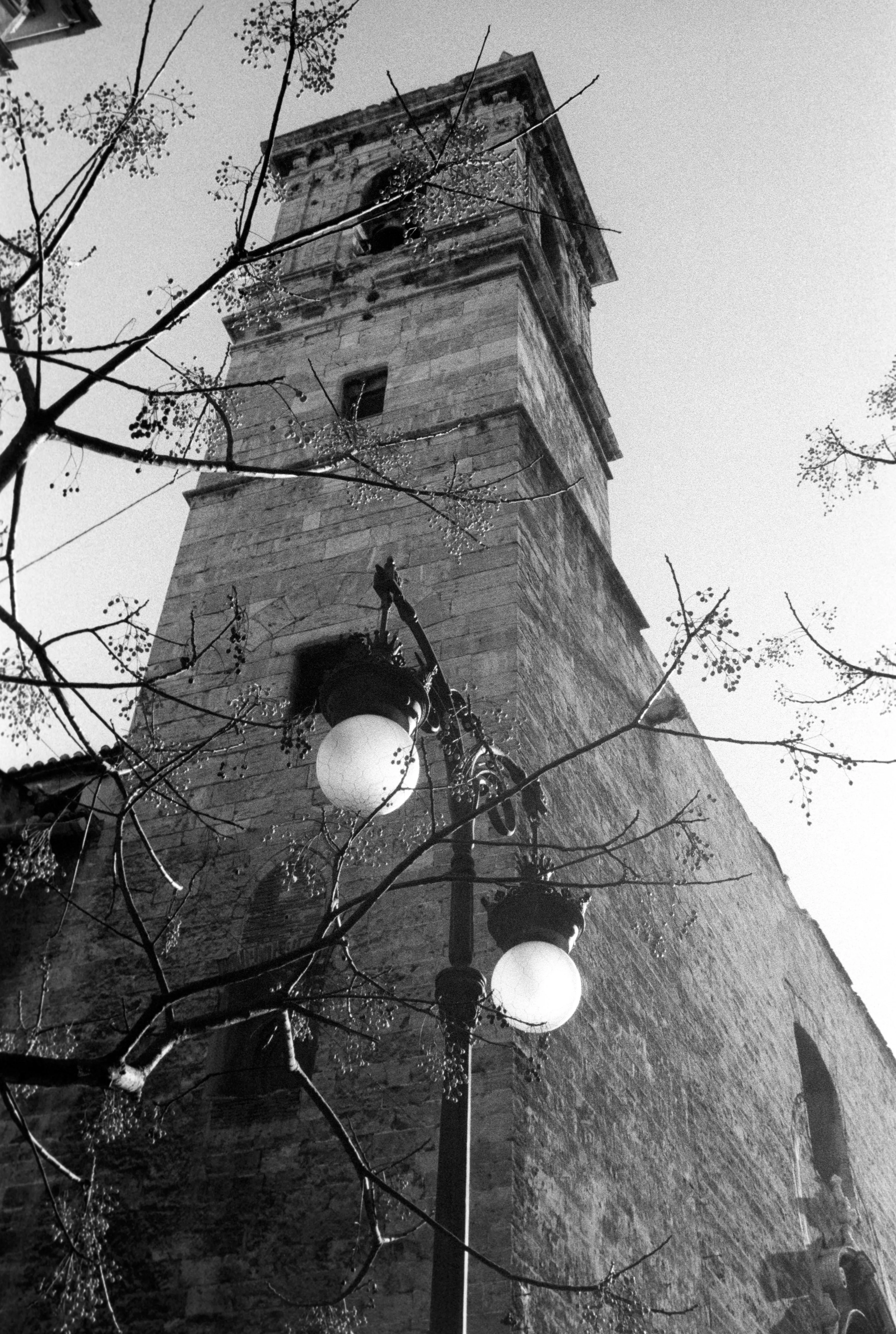 A stone bell tower rising through bare branches, two globe lamps lit against it.