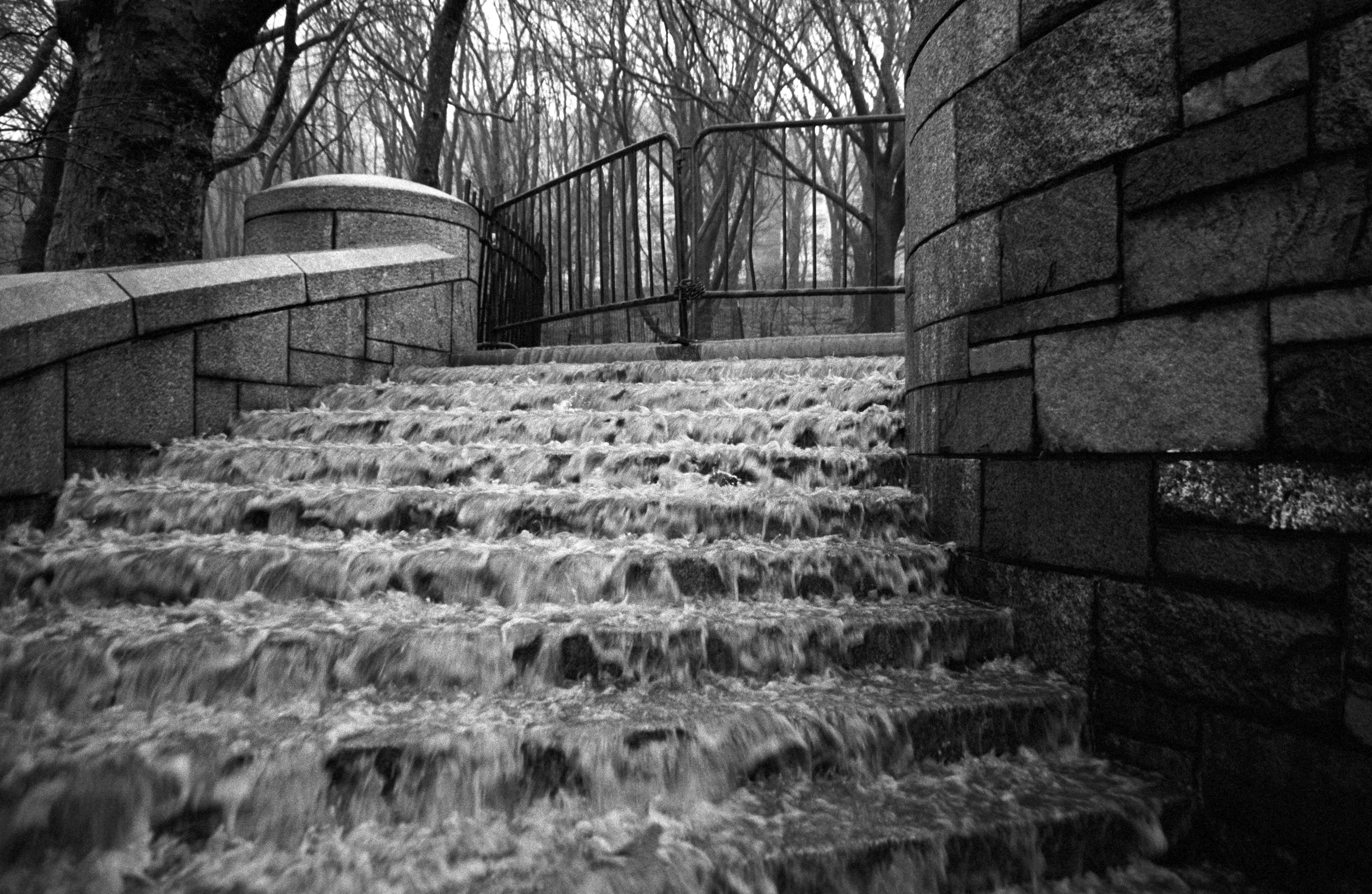 Stormwater pouring down a broad stone park staircase between stone walls, bare trees beyond an iron handrail.