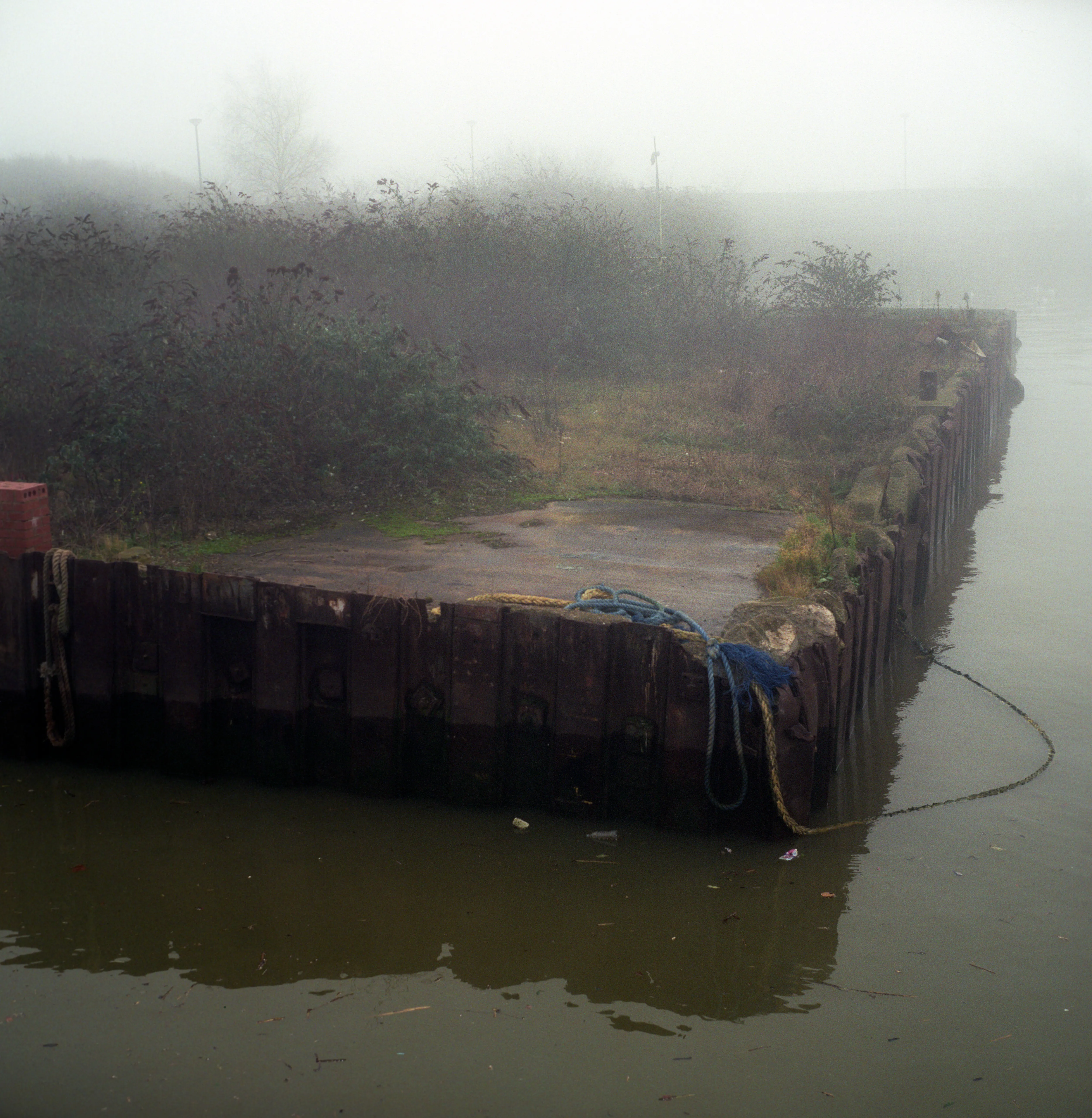 A rusted iron quay edge with coiled blue rope and a trailing mooring chain; scrub and bramble reclaiming the bank above, all softened by fog.