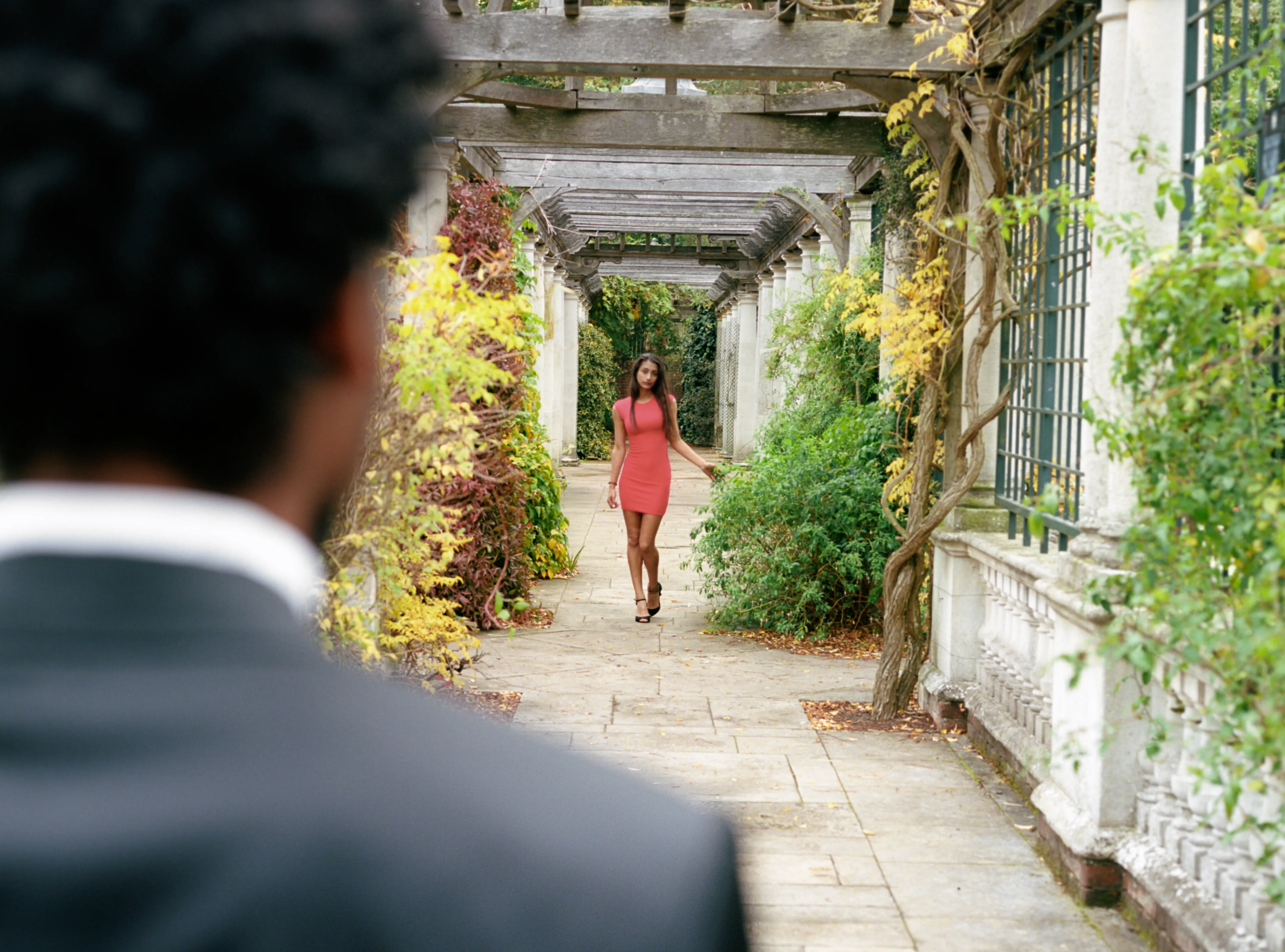 Seen over Daniel's shoulder, Shreena in a coral dress stands further down a colonnaded garden pergola, facing him.