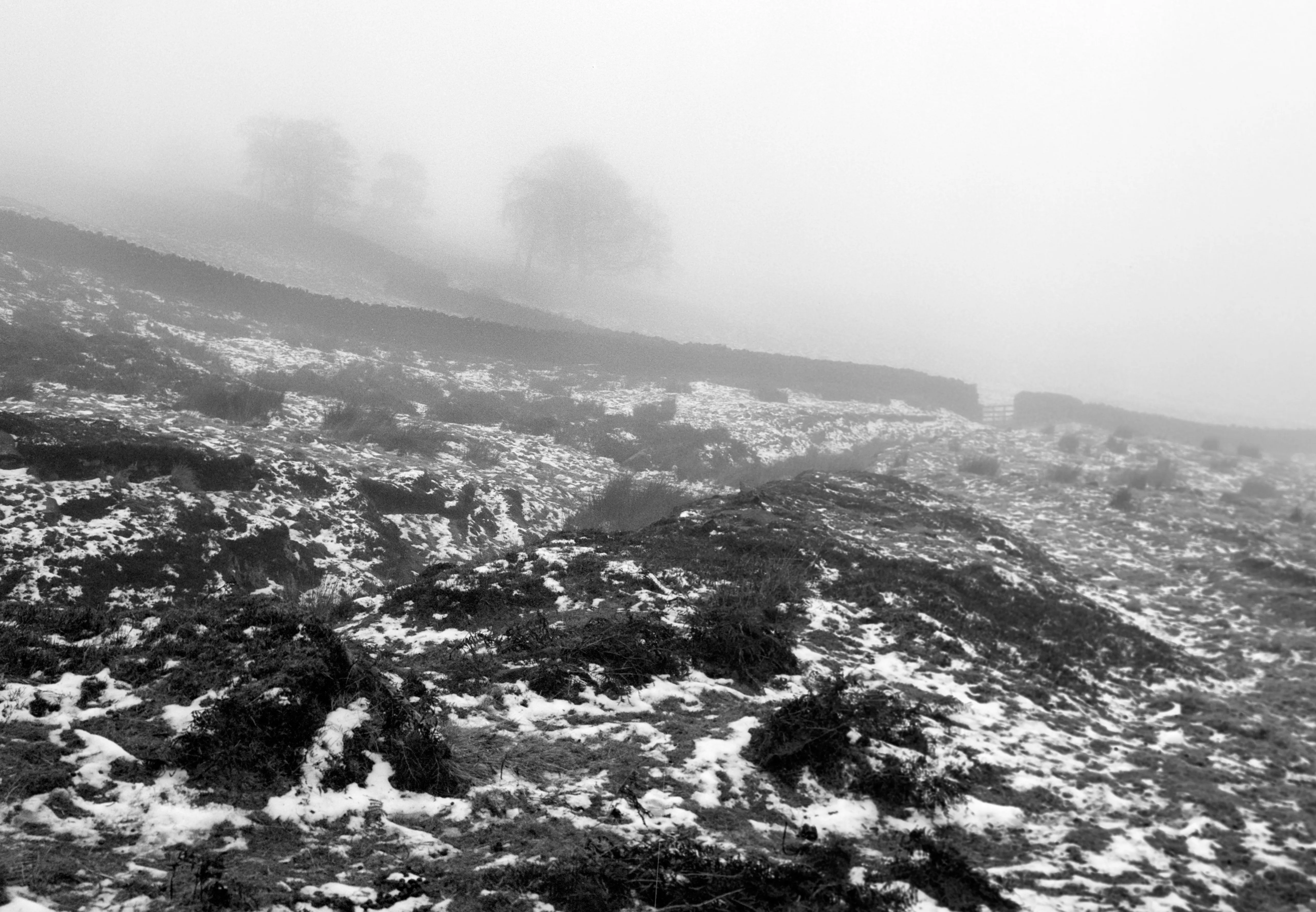 Wet ground underfoot, the fog low over it.